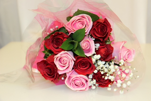 RED & LIGHT PINK COMBO