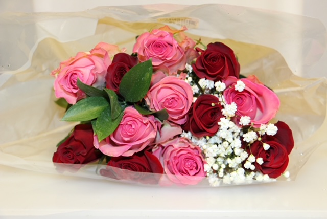 RED & PINK COMBO